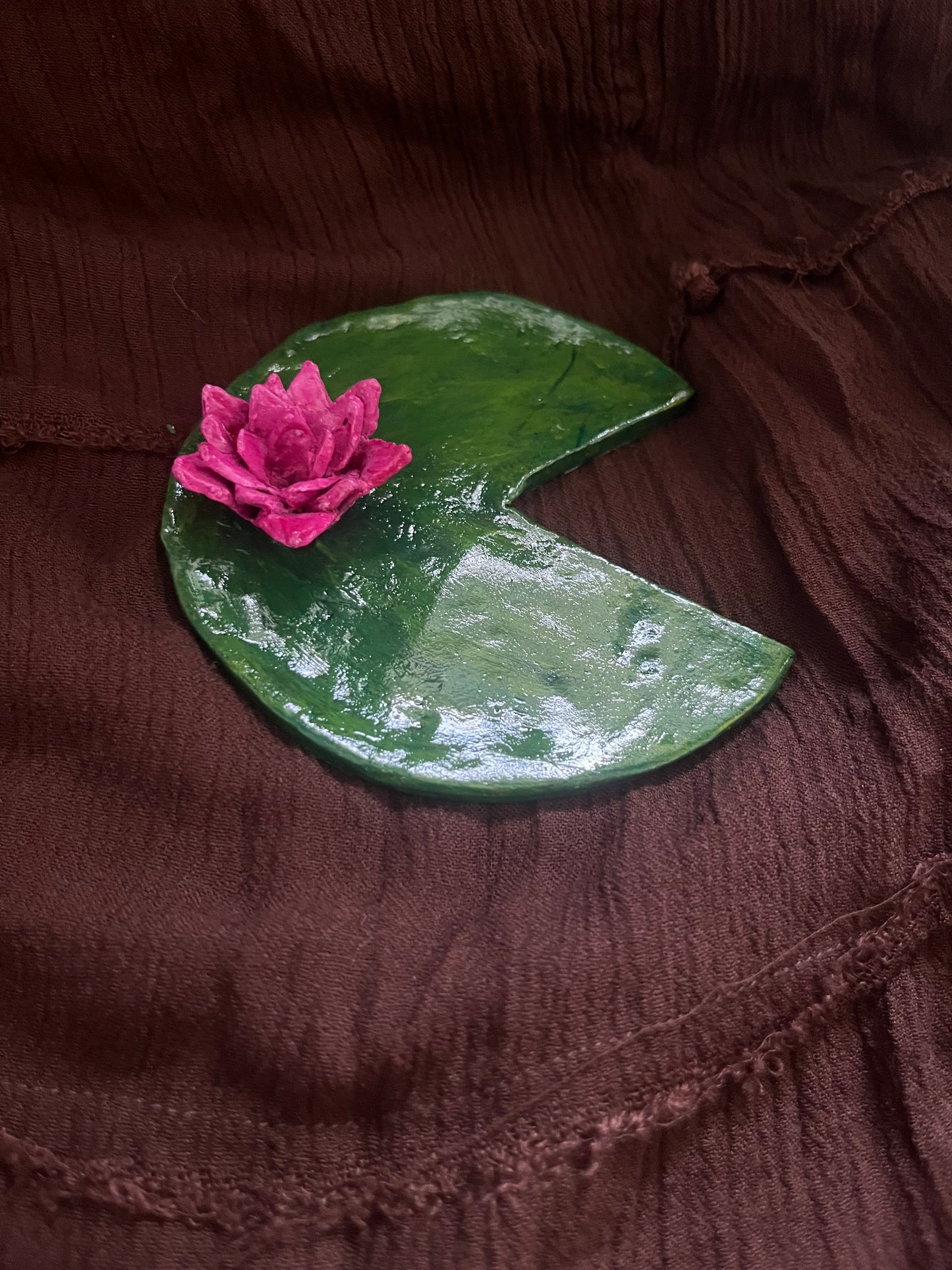 Water Lily on a Lily Pad
