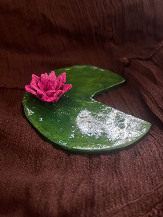 Water Lily on a Lily Pad